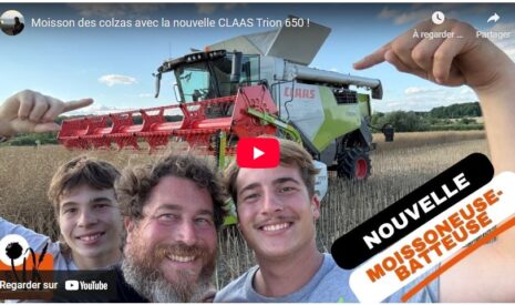 Moisson des colzas avec la nouvelle CLAAS Trion 650 !