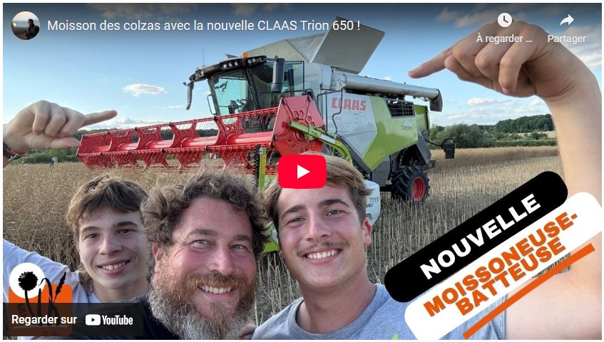 moisson des colzas avec la nouvelle claas trion 650
