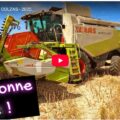 Moisson des colzas 2025