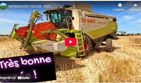 Moisson des colzas 2025