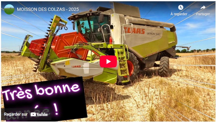 moisson colza
