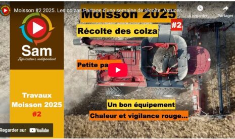 Moisson #2 2025. Les colzas. Partage d’une semaine de récolte. Astuces et panne, chaleur et incendie