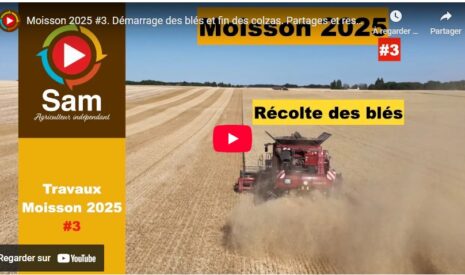 Moisson 2025 #3. Démarrage des blés et fin des colzas. Partages et ressentis.