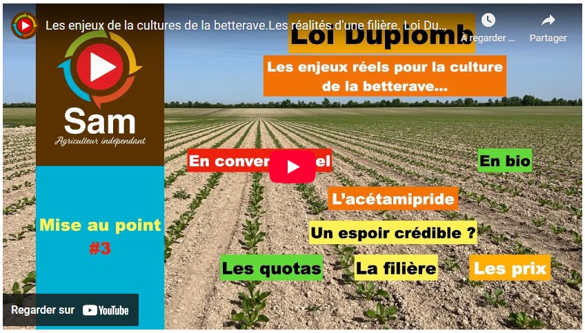 Les enjeux de la cultures de la betterave. Les réalités d&rsquo;une filière. Loi Duplomb et Acétamipride…
