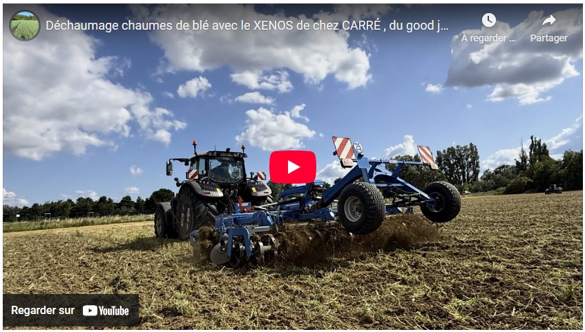 Déchaumage chaumes de blé avec le XENOS de chez CARRÉ , du good job