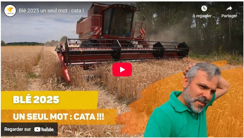 Blé 2025 un seul mot : cata !