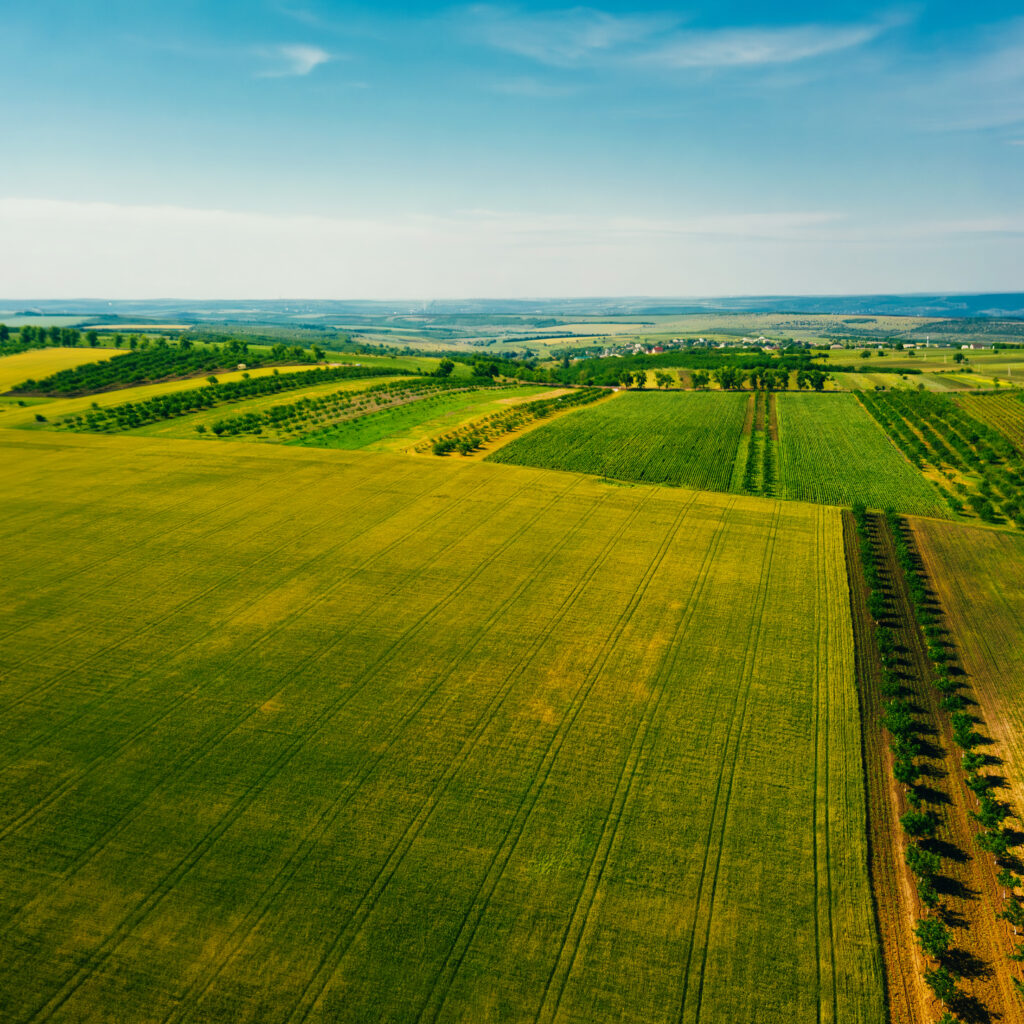 Bayfolan® Aktivator : le biostimulant Bayer désormais homologué pour toutes cultures
