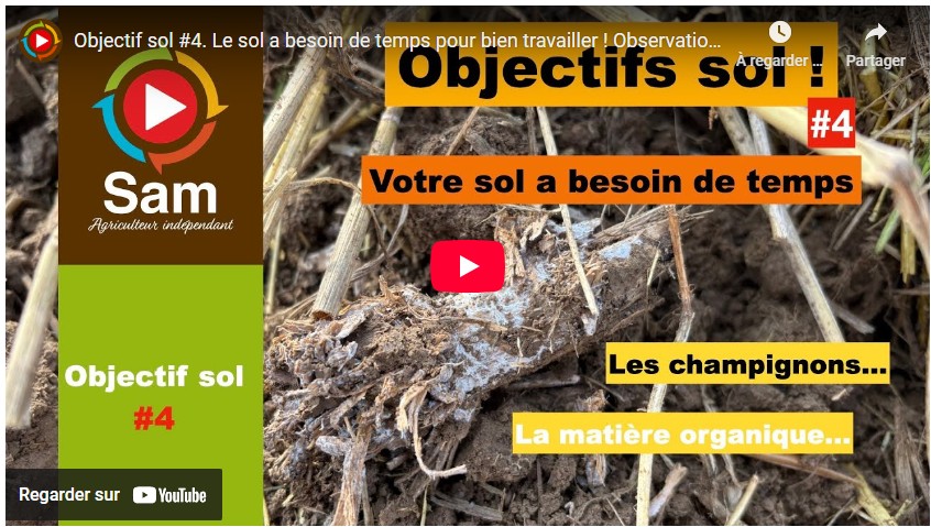 Objectif sol #4. Le sol a besoin de temps pour bien travailler ! Observations et approche globale.