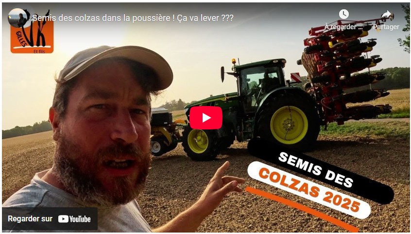 Semis des colzas dans la poussière ! Ça va lever ?