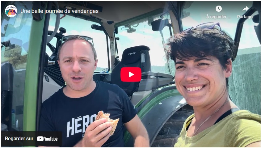 Une belle journée de vendanges