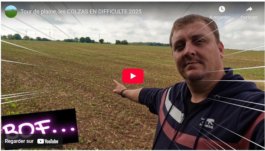 Tour de plaine, résultats mitigés pour les colzas
