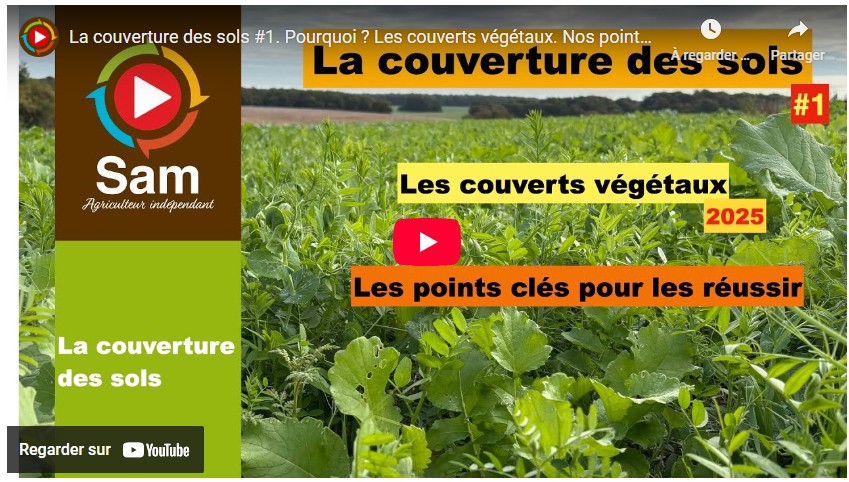 La couverture des sols #1. Pourquoi ? Les couverts végétaux. Nos points clés pour les réussir.