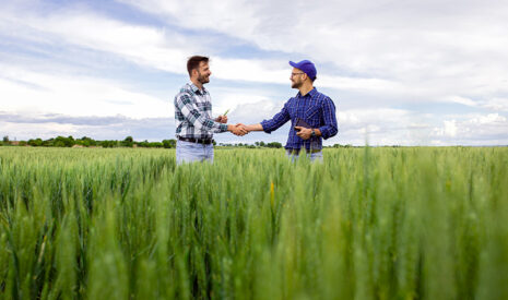 Cultiver mieux, traiter moins, c’est possible !