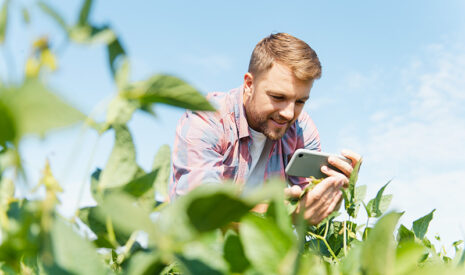 Nouveau site Wikiagri : une nouvelle plateforme au service d’une agriculture durable, innovante et connectée