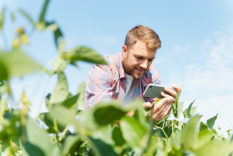 Nouveau site Wikiagri : une nouvelle plateforme au service d’une agriculture durable, innovante et connectée