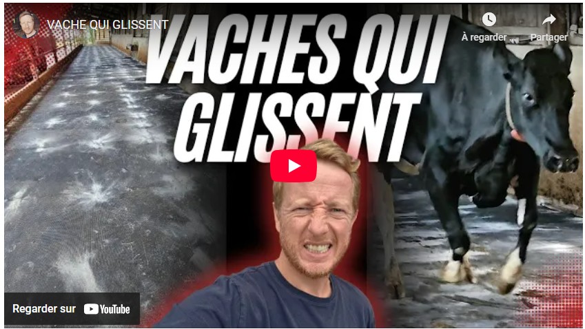 Tapis antidérapant pour vache