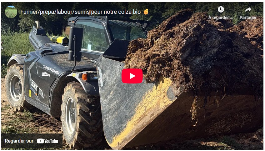 Fumier, préparation, labour, semis pour le colza bio