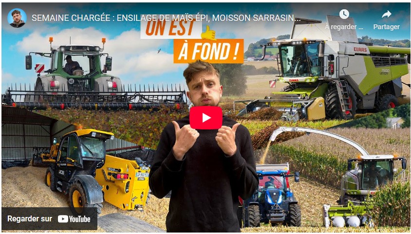 Semaine chargée : ensilage de maïs épi, moisson sarrasin