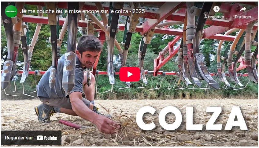 David se couche ou mise encore sur le colza ? 2025