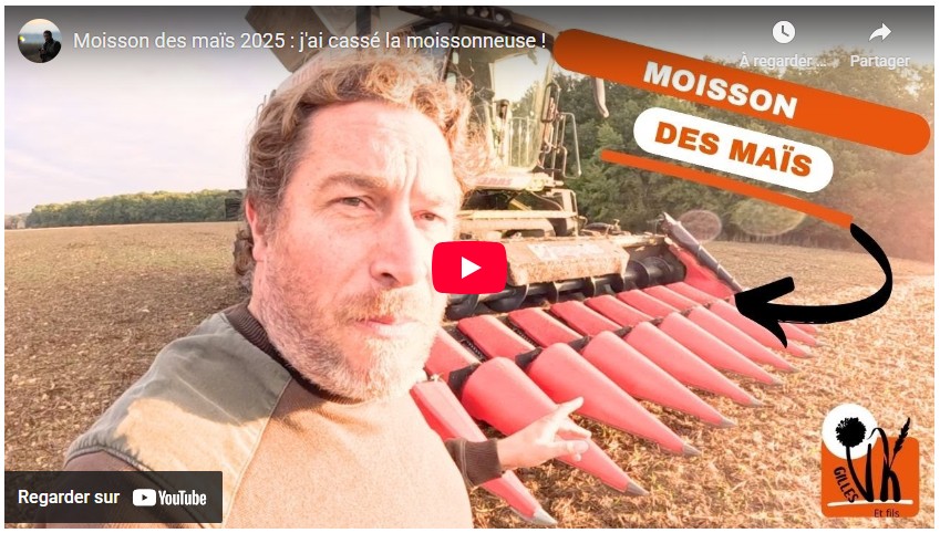 Moisson des maïs 2025 : Gilles a cassé la moissonneuse !
