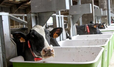 L&rsquo;élevage au cœur du plan climat d&rsquo;Agrial