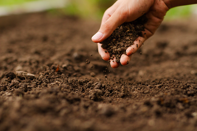 VERTAL complète son offre avec son 3ᵉ biostimulant homologué, le TRICHOBIOSE