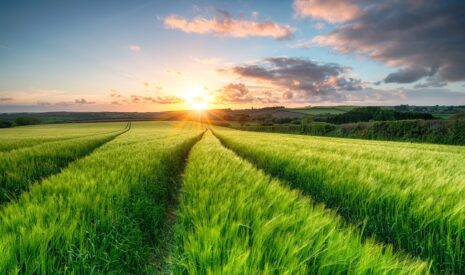 Agriculture durable : l’innovation et la coopération au cœur des nouveaux modèles agricoles
