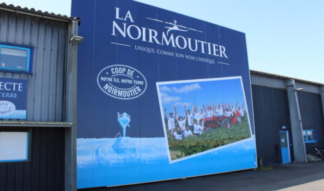 La Noirmoutier se diversifie dans le zéro résidu de pesticides