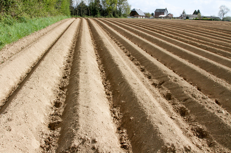 Les leviers agronomiques préventifs sont employés. Il s’agit notamment de respecter des rotations de cinq ans minimum. Le choix des variétés a aussi toute son importance.