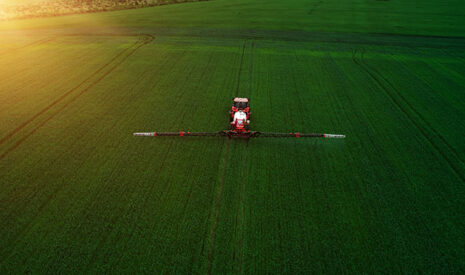 Avec l’adjuvant SILWET L-77, améliorez l’efficacité de vos traitements