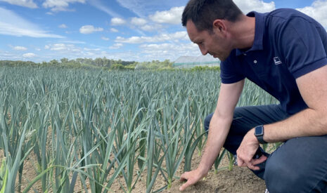 BCF Life Sciences obtient un deuxième brevet pour sa technologie Leafamine®, au service d’une agriculture plus durable