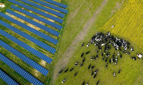 Irisolaris Groupe dévoilera sa nouvelle filiale et ses innovations 2025 au Sommet de l’élevage