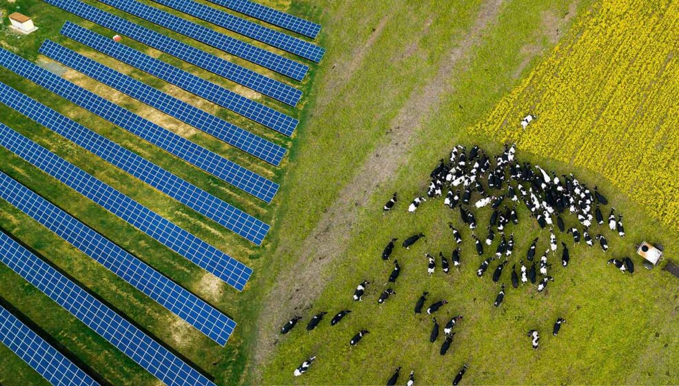 Irisolaris Groupe dévoilera sa nouvelle filiale et ses innovations 2025 au Sommet de l’élevage
