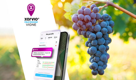 BASF dévoile xarvio® FIELD MANAGER Vigne, une solution numérique dédiée à la viticulture