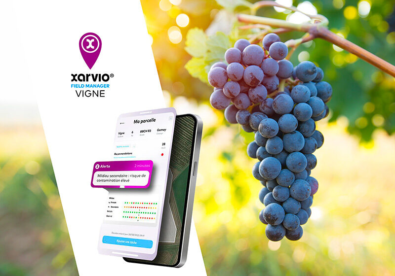 BASF dévoile xarvio® FIELD MANAGER Vigne, une solution numérique dédiée à la viticulture