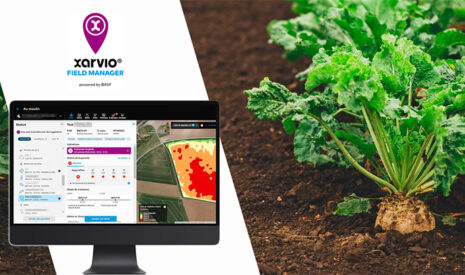 L’outil digital de BASF xarvio® FIELD MANAGER pour une campagne céréales maîtrisée