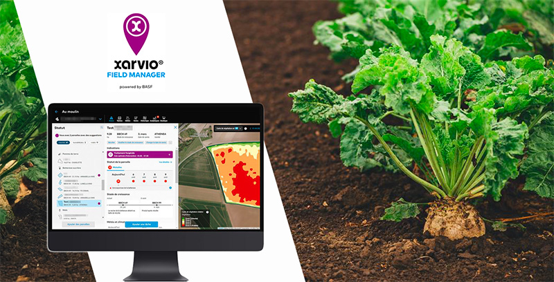 L’outil digital de BASF xarvio® FIELD MANAGER pour une campagne céréales maîtrisée