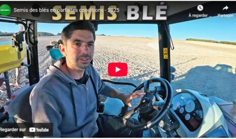 Semis des blés en parfaites conditions – 2025