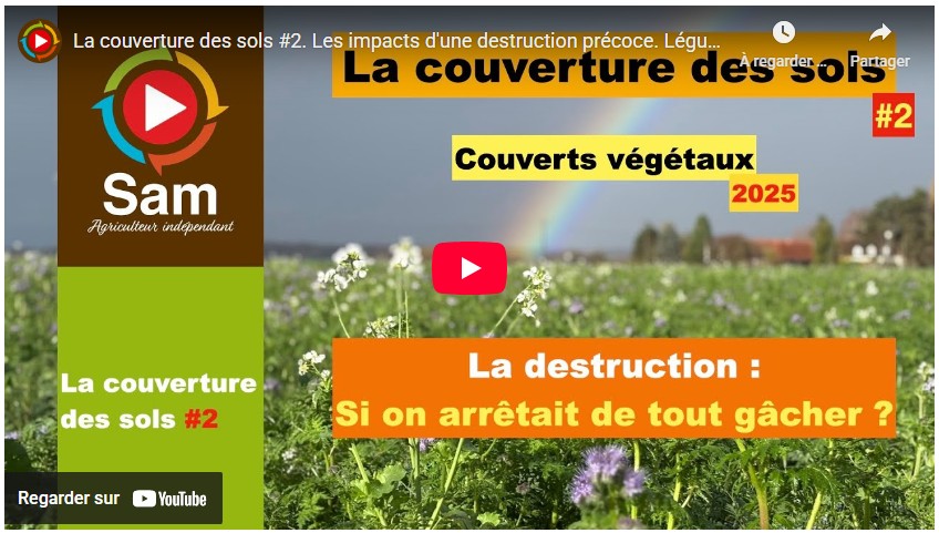 La couverture des sols #2. Les impacts d&rsquo;une destruction précoce. Légumineuses : azote et réalités