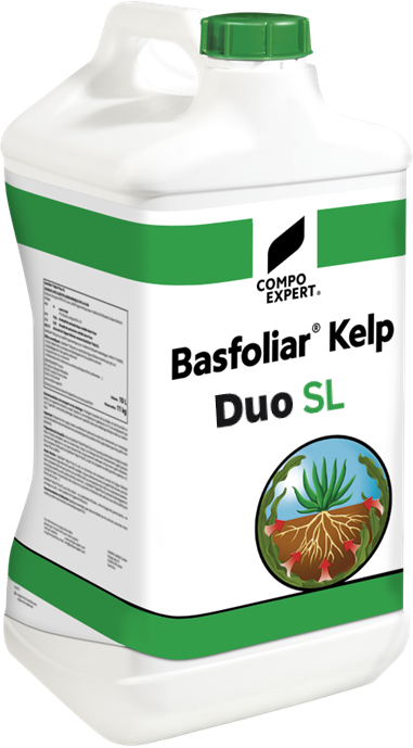basfoliar kelp duo
