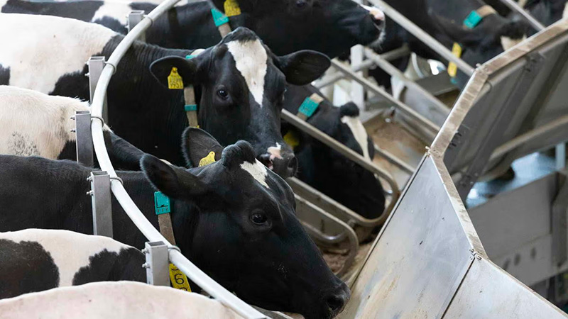 Nettoyage optimisé : une nouvelle option d’économie d’eau pour le DairyRotor T8600