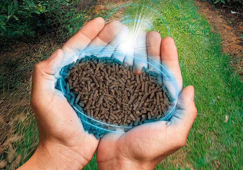 Nutrition végétale : Olmix et Violleau renforcent leur partenariat avec les nouvelles solutions VIO® Acti Boost