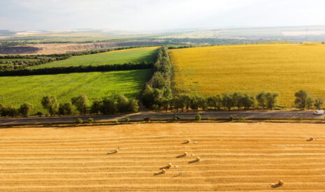 Elargissement européen – La Moldavie, un petit jardin de cocagne à la porte de l’UE