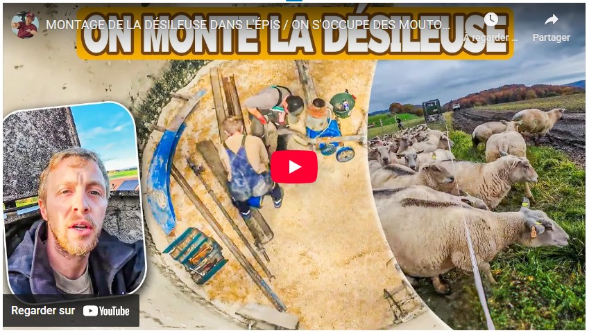 Montage de la Désileuse / On s&rsquo;occupe des moutons