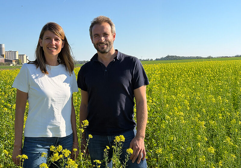 Calycé Sun : une nouvelle entité pour renforcer l’agrivoltaïsme en France