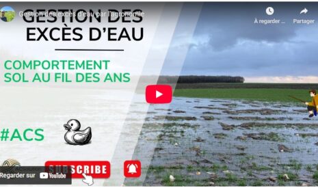 Gestion des excès d’eau par l&rsquo;agronomie
