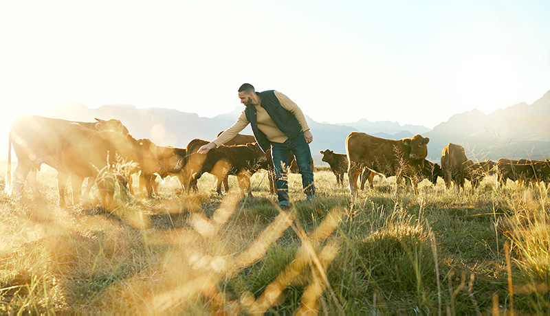 Vivre « Le Salon à la Ferme » avec Dans Les Bottes partout en France
