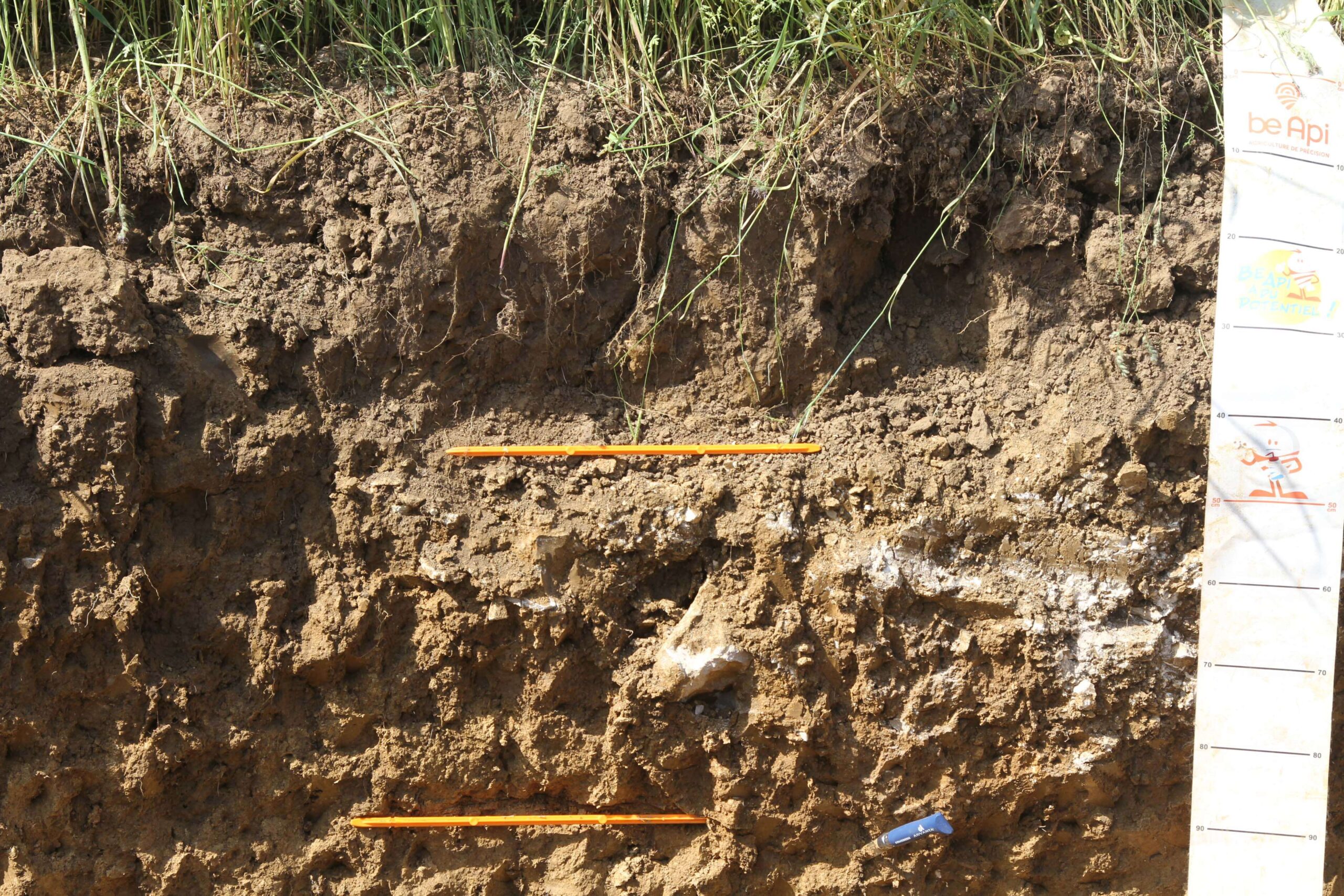 Un sol vivant et bien structuré permet des enracinements rapides et profonds avec des cultures capables de capter un maximum de nitrates sur le trajet de l’écoulement.