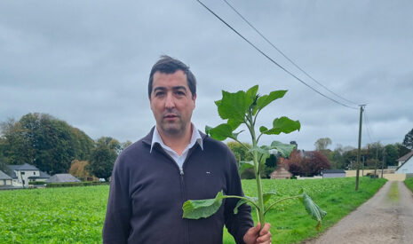 Témoignage d’agriculteur : Optimiser ses couverts