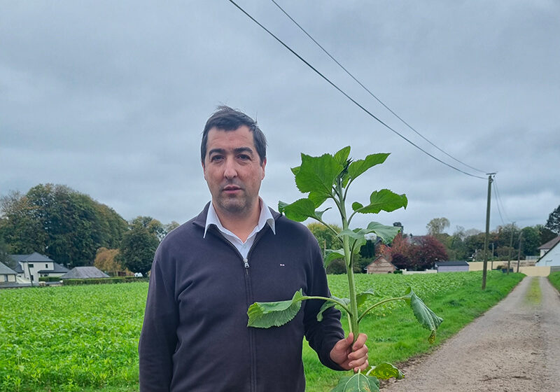 Témoignage d’agriculteur : Optimiser ses couverts